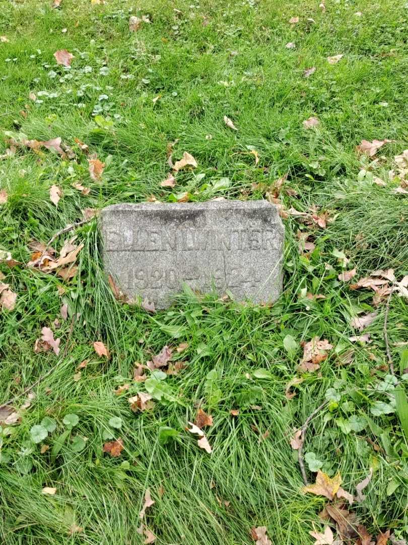 Ellen I. Winter's grave. Photo 2