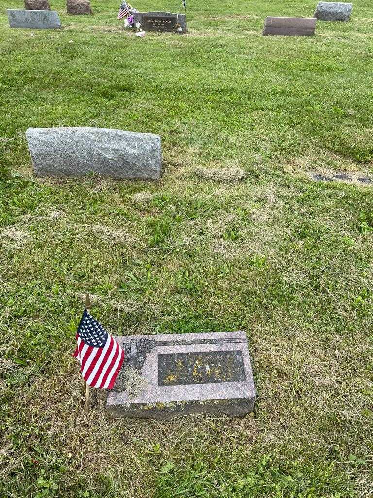 Felix B. Diederich's grave. Photo 2