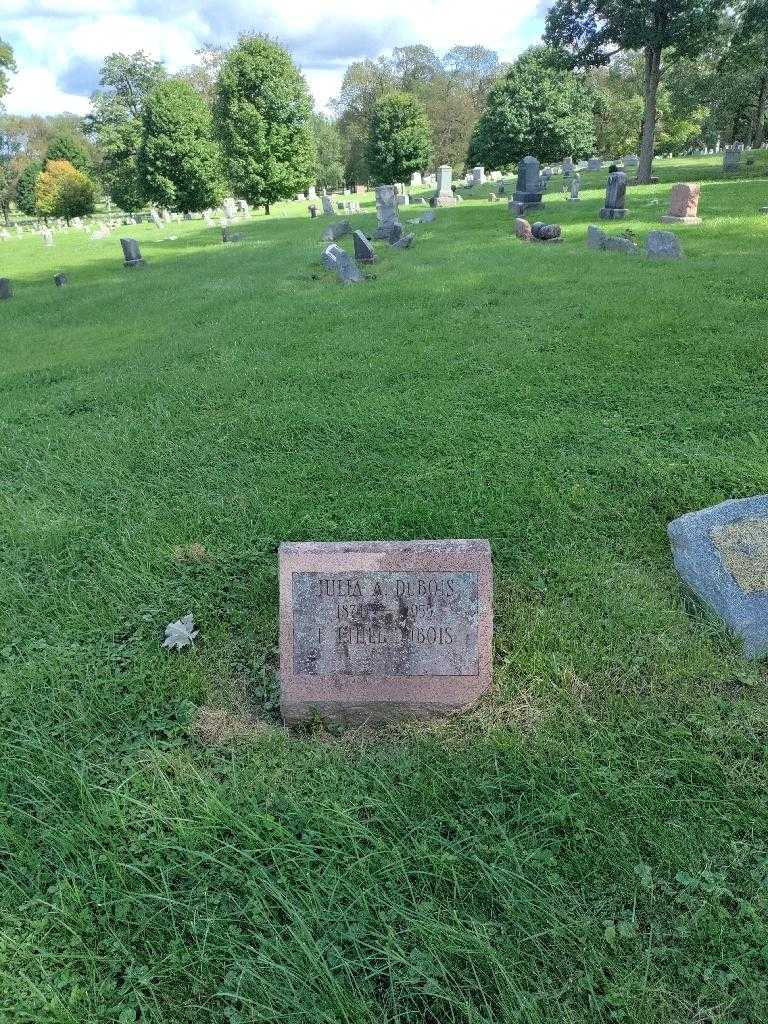 Julia A. Dubois's grave. Photo 1