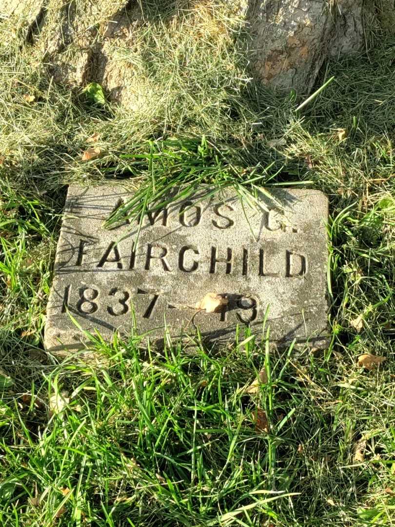 Amos G. Fairchild's grave. Photo 3