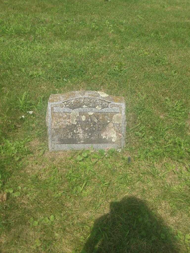 Marian F. Walliser's grave. Photo 2