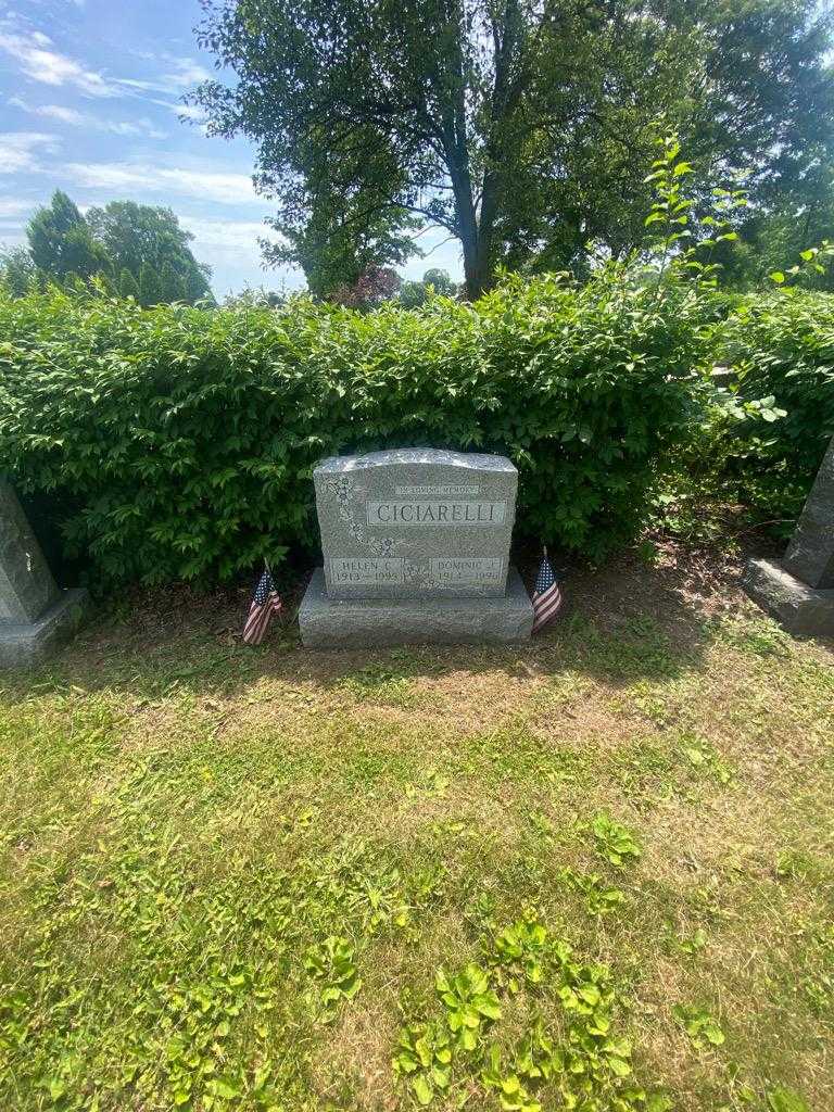 Robert S. Ciciarelli's grave. Photo 1