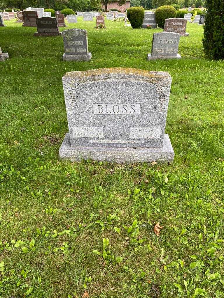Camilla I. Bloss's grave. Photo 2