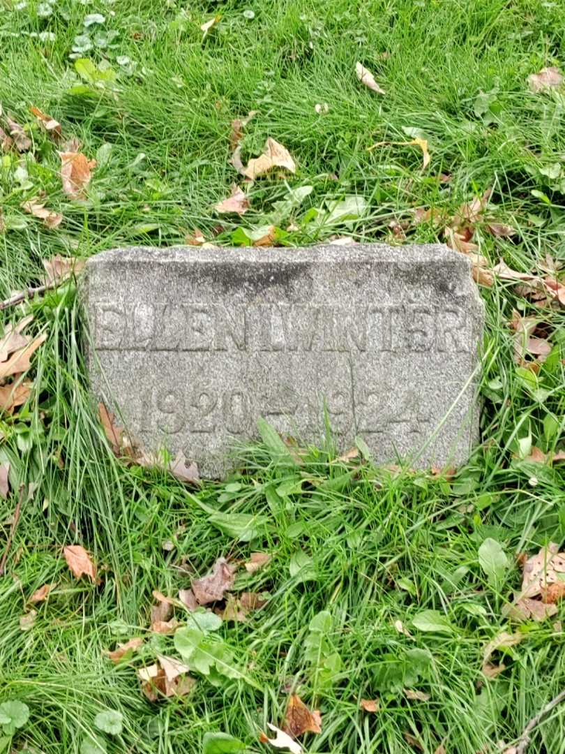Ellen I. Winter's grave. Photo 3