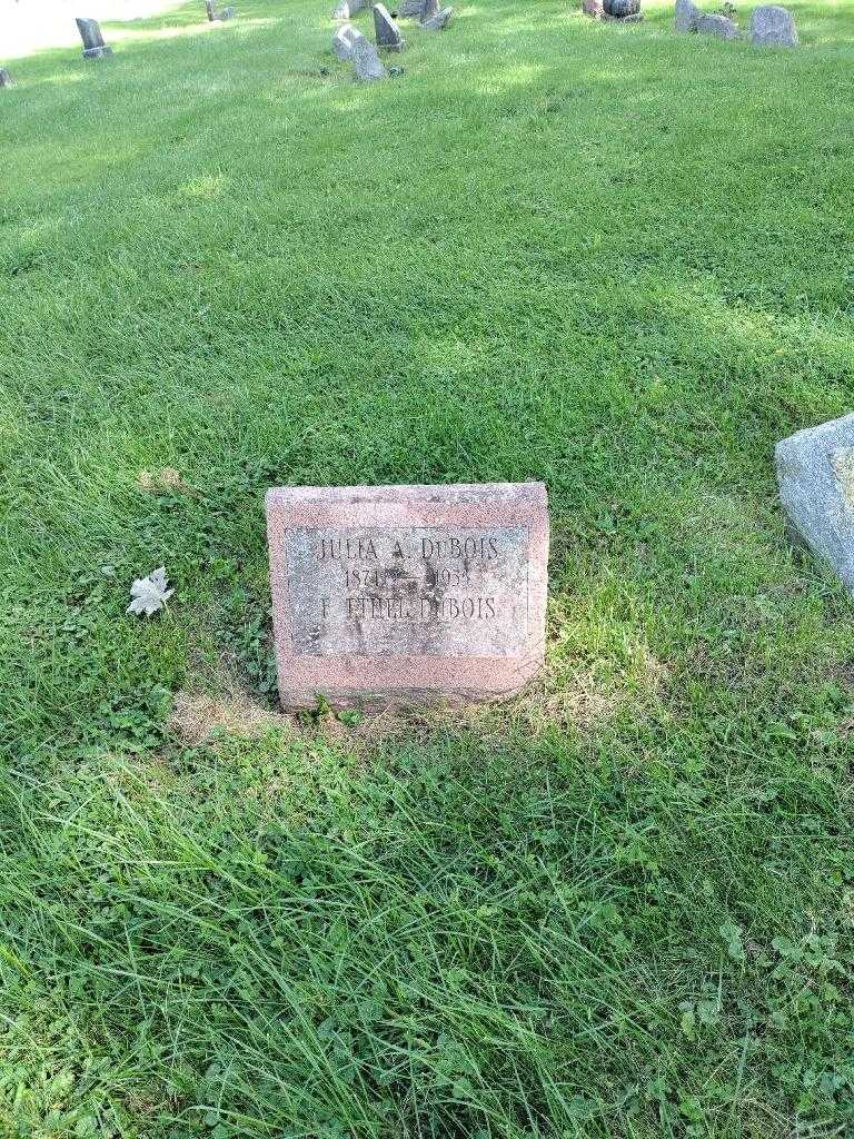 Julia A. Dubois's grave. Photo 2