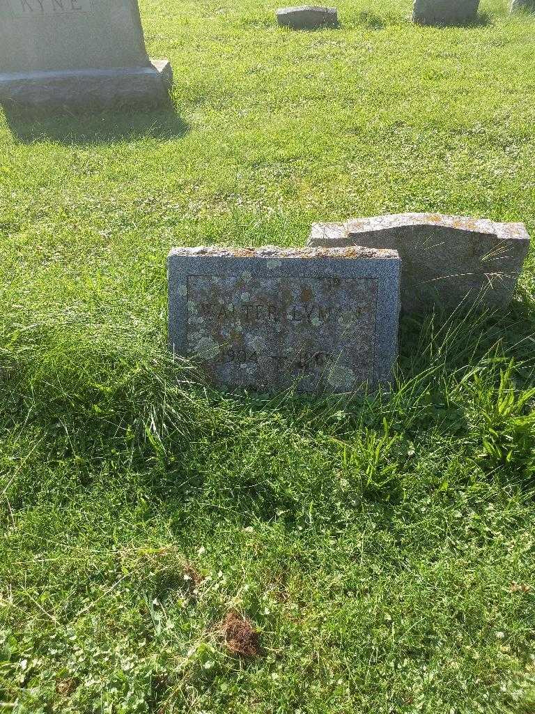 Walter Lyman's grave. Photo 1