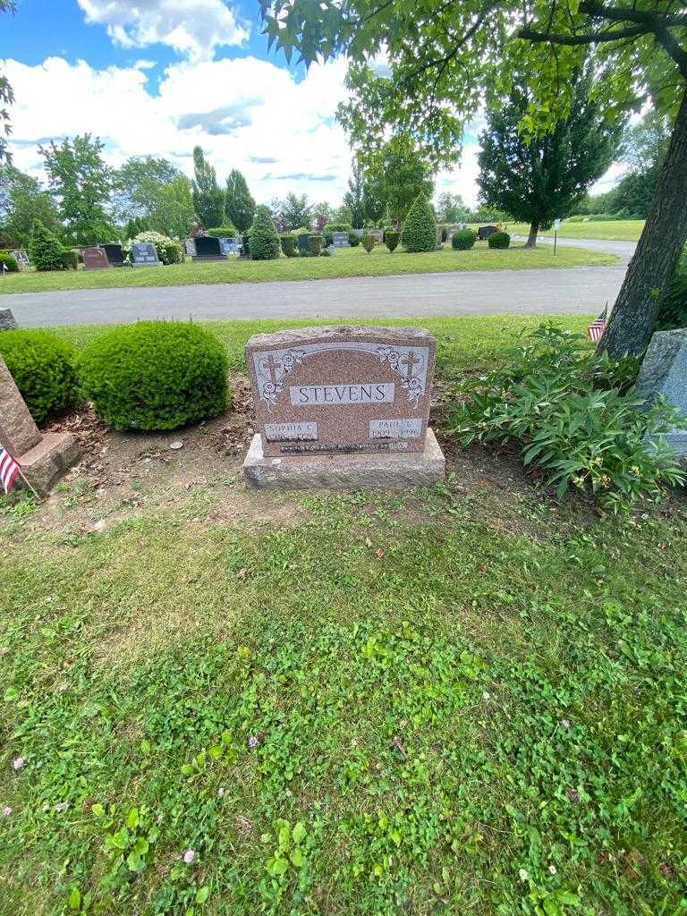 Paul C. Stevens's grave. Photo 1