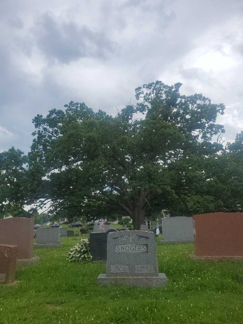 William J. Snogles's grave. Photo 1