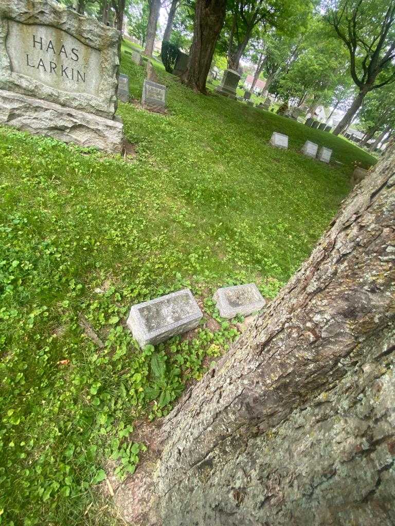 Stella M. Haas's grave. Photo 1