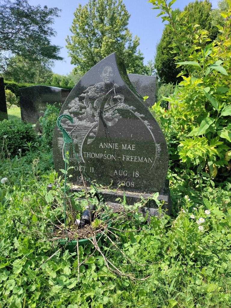 Annie Mae Thompson-Freeman's grave. Photo 4