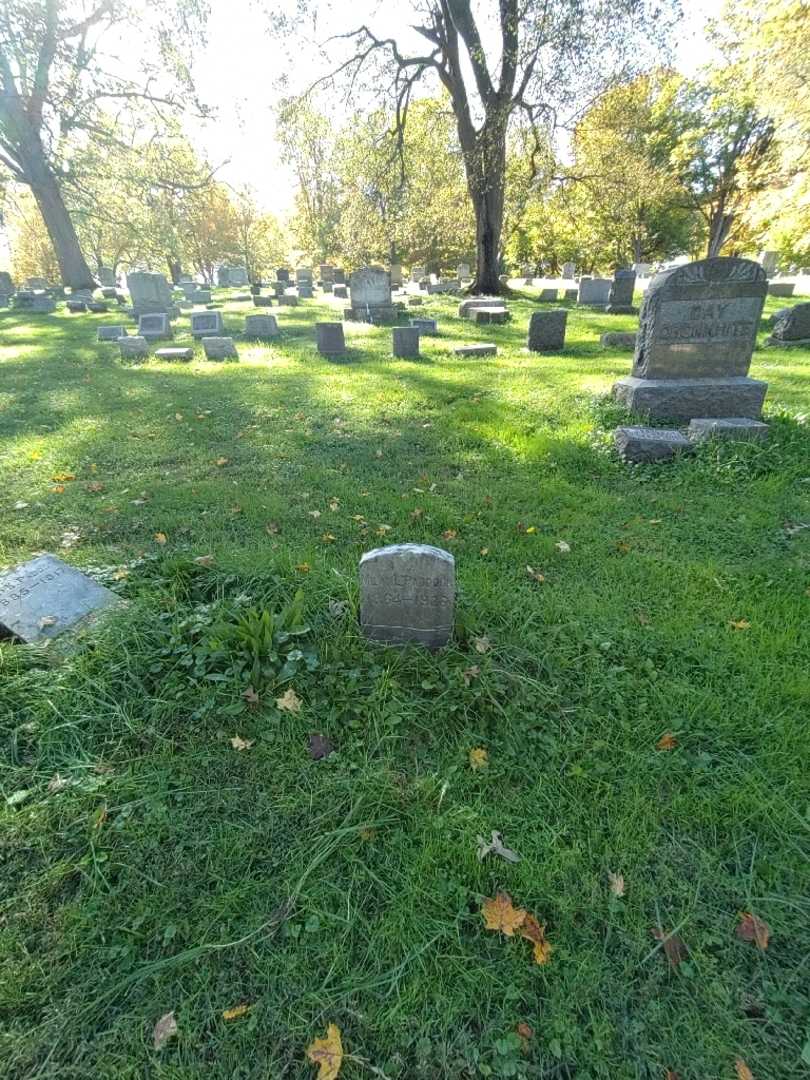 Milan L. Paddock's grave. Photo 1