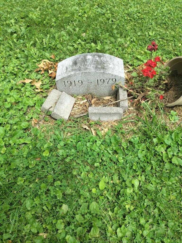 Thomas H. Greenway's grave. Photo 2