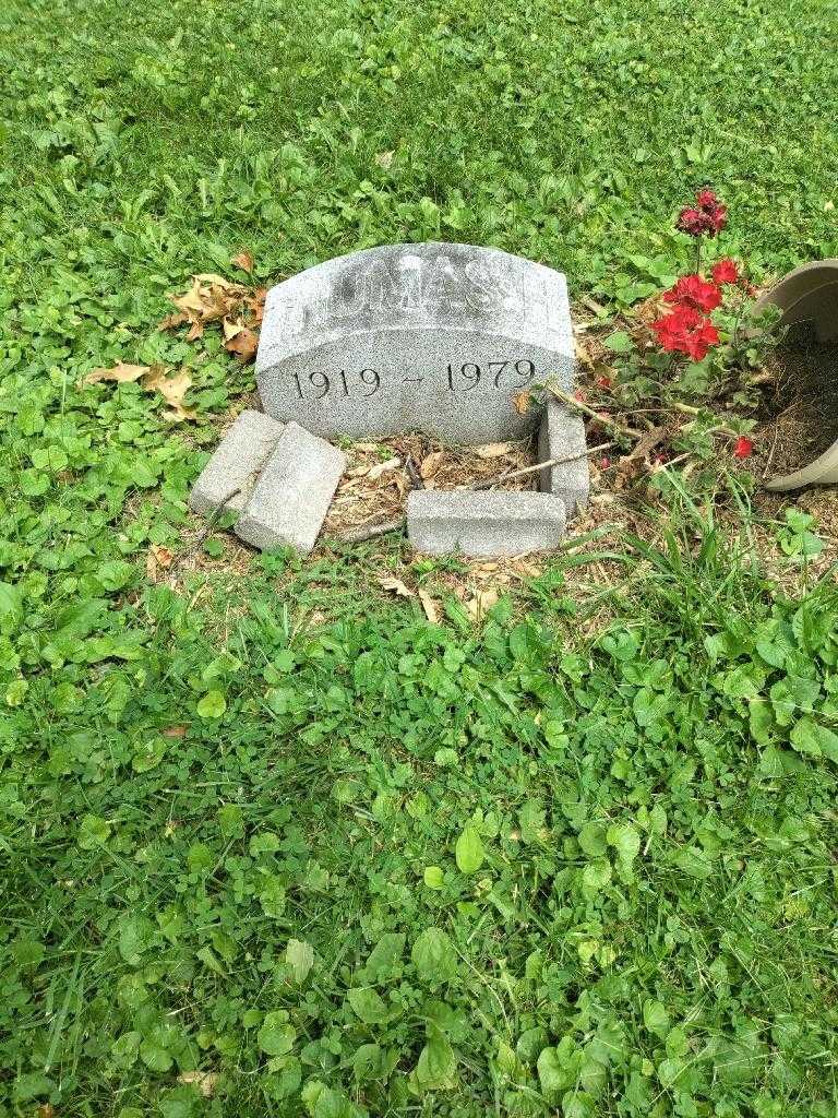 Thomas H. Greenway's grave. Photo 3