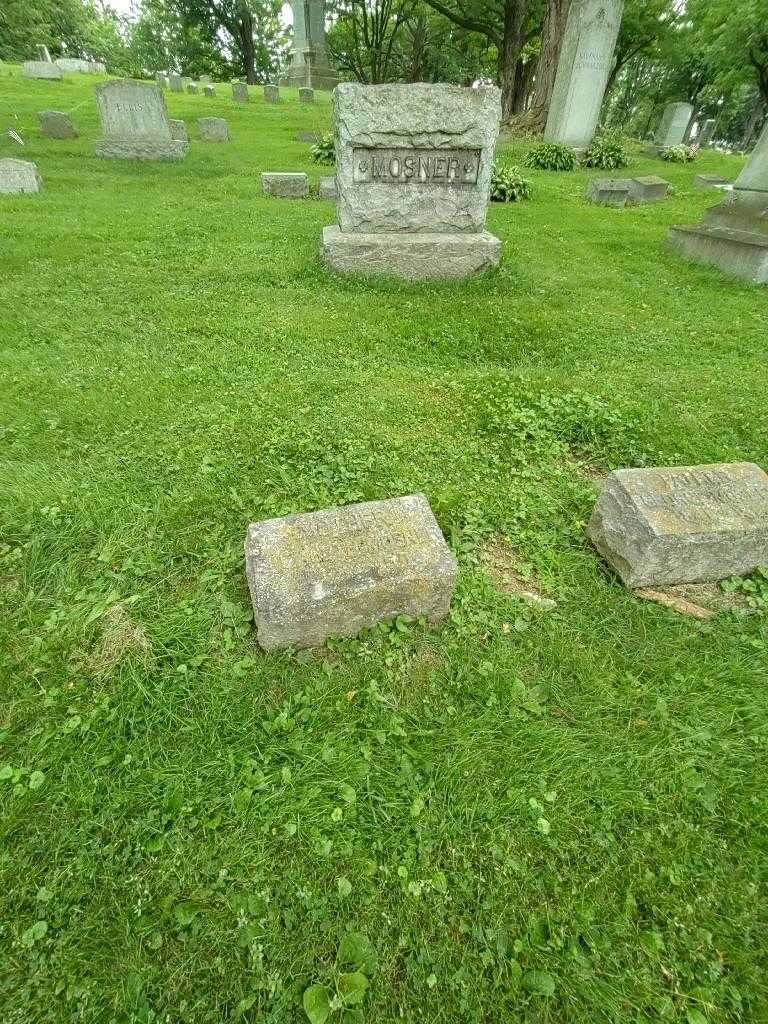 Elizabeth Mosner's grave. Photo 1