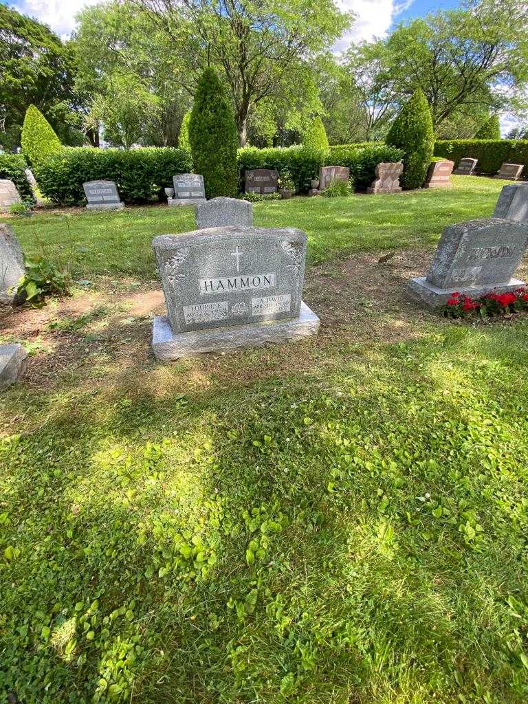 David A. Hammon's grave. Photo 1