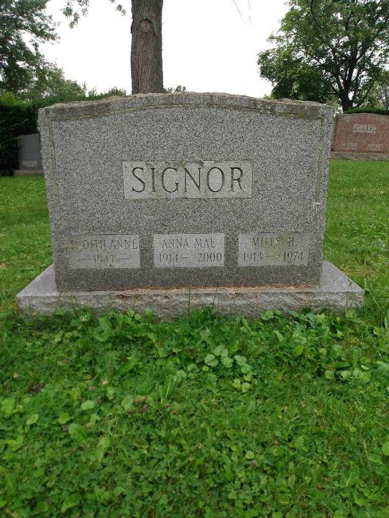 Judith Anne Signor's grave. Photo 2