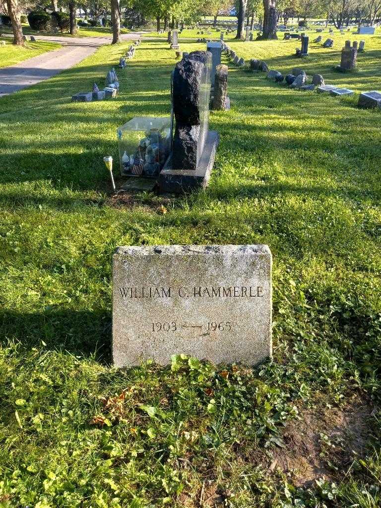 William C. Hammerle's grave. Photo 1