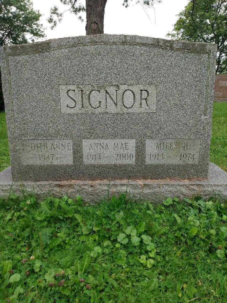 Judith Anne Signor's grave. Photo 3