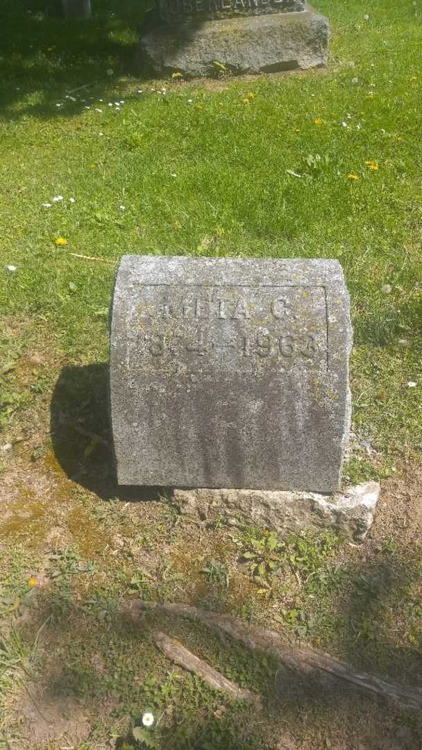 Meta C. Oberlander's grave. Photo 3