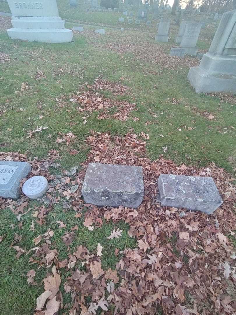 Sarah L. Markowitz's grave. Photo 1