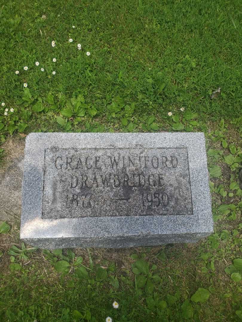 Grace Drawbridge's grave. Photo 4