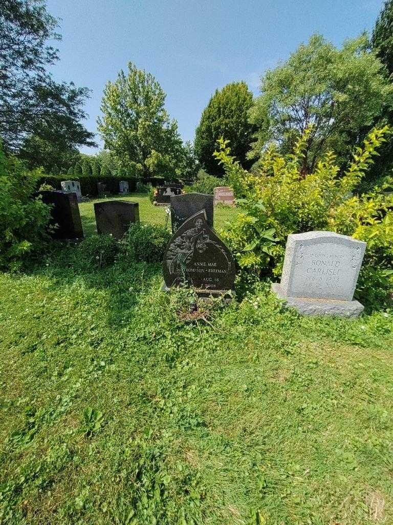 Annie Mae Thompson-Freeman's grave. Photo 5