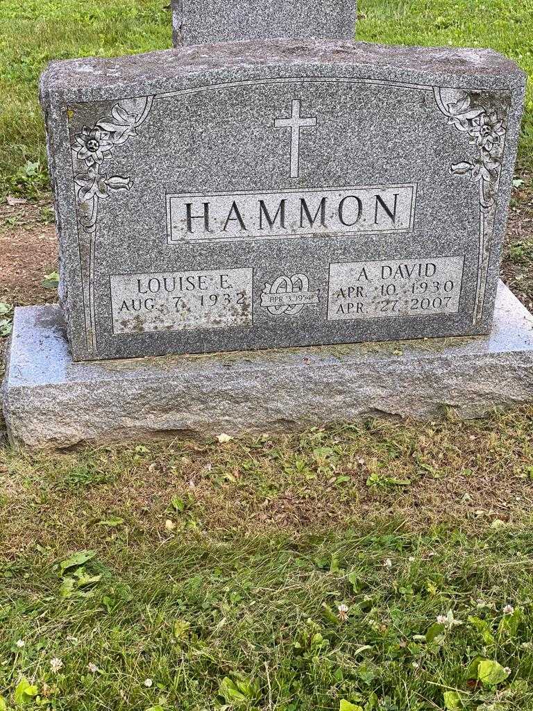 Louise Ann E. Hammon's grave. Photo 1