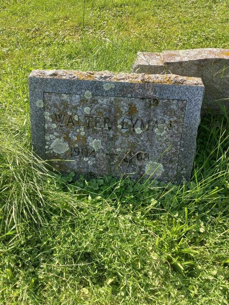 Walter Lyman's grave. Photo 3