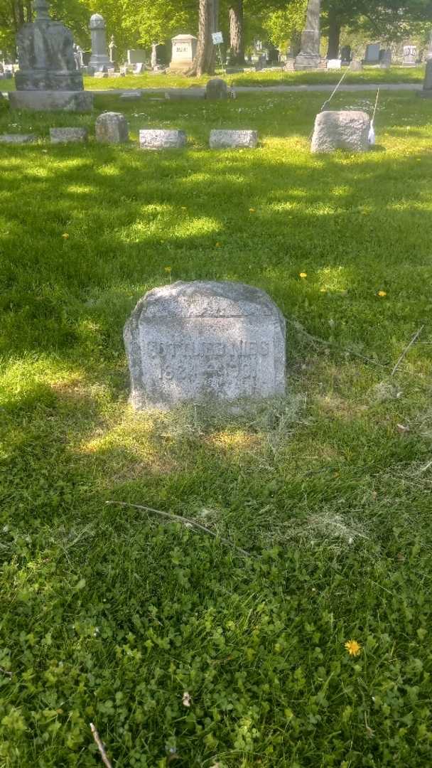 Gottlieb Nies's grave. Photo 2