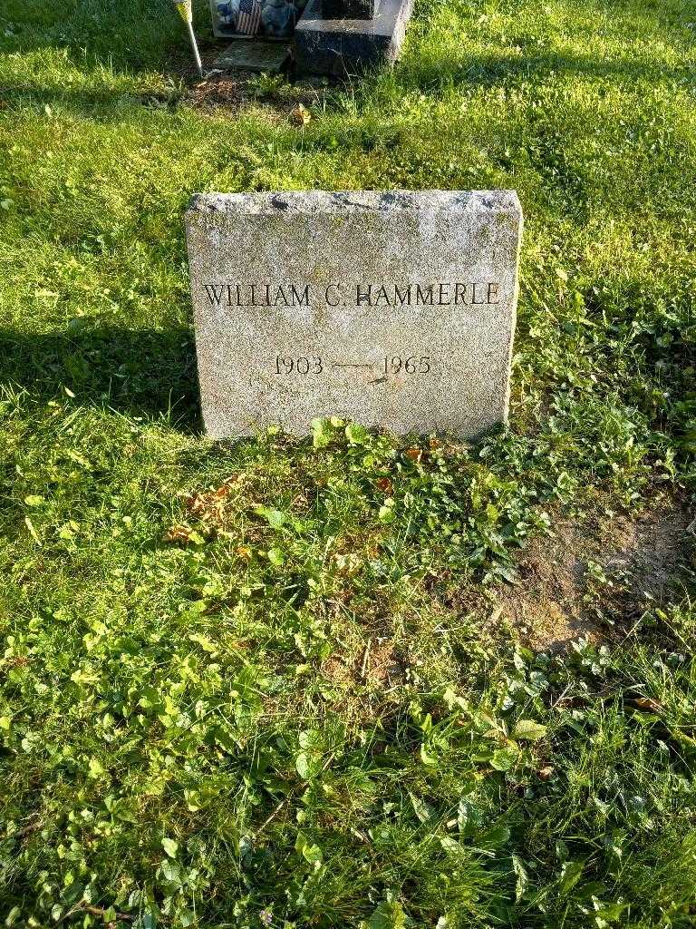 William C. Hammerle's grave. Photo 2
