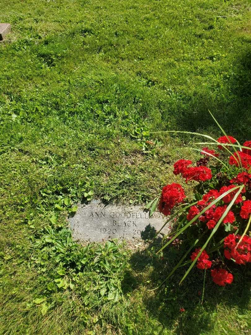 Ann Black Goodfellow's grave. Photo 2