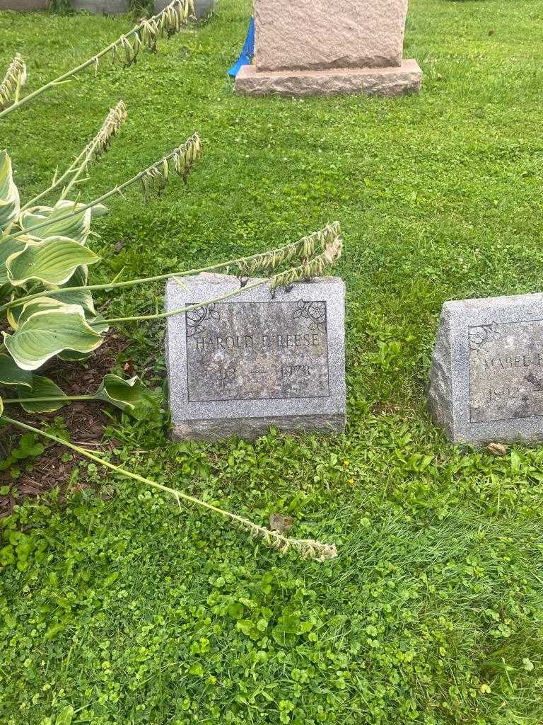 Harold F. Reese's grave. Photo 2