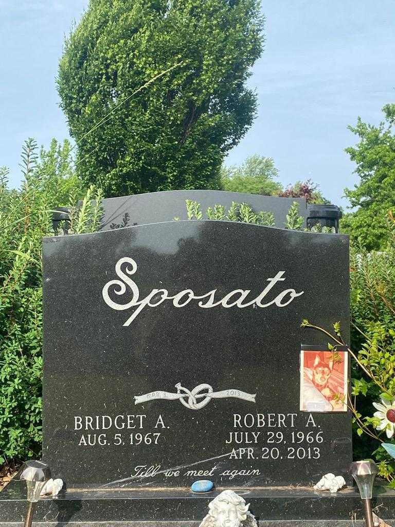 Robert A. Sposato's grave. Photo 3