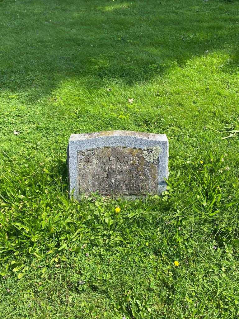 Rosina R. Steinger's grave. Photo 2