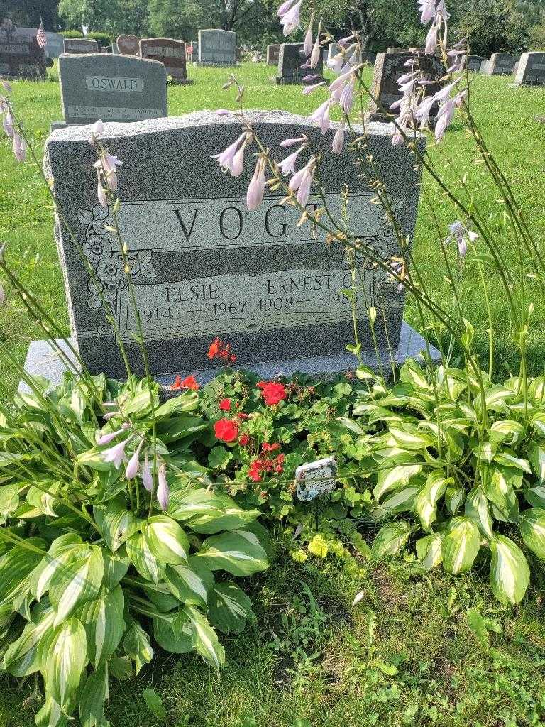 Ernest C. Vogt's grave. Photo 1