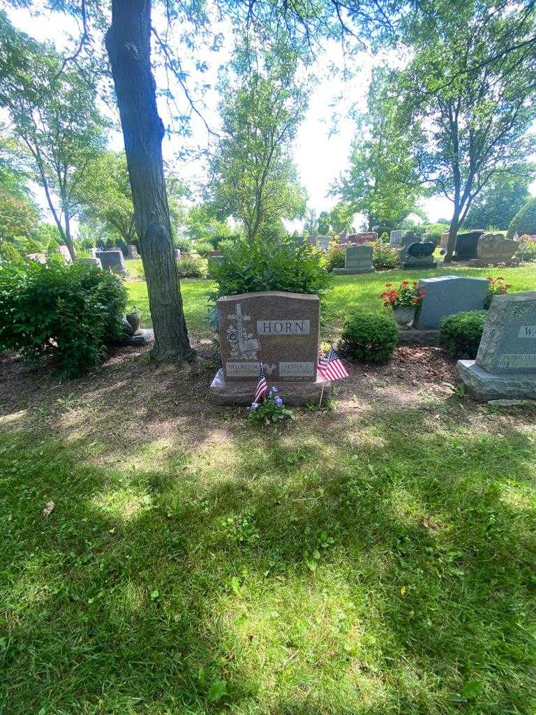 Lester J. Horn's grave. Photo 1