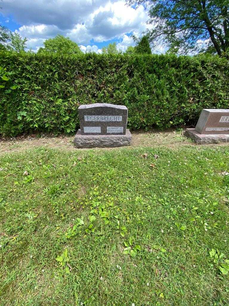 Nancy C. Egerbrecht's grave. Photo 1