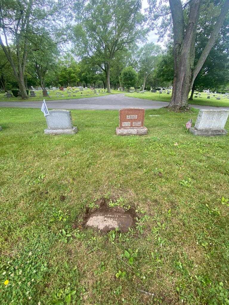 Hart Worker Abbe's grave. Photo 1