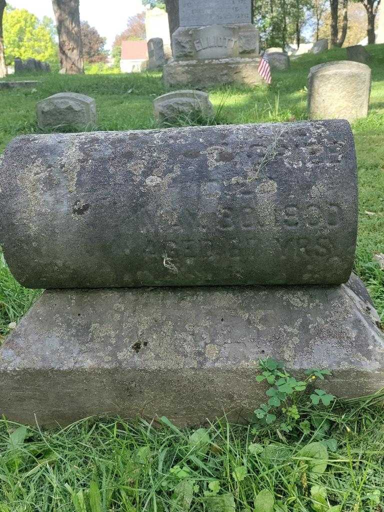 Gottlieb Grieb's grave. Photo 3