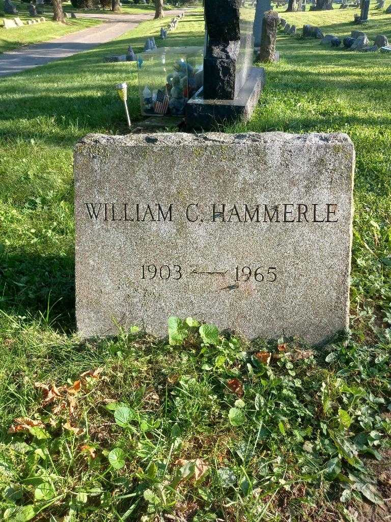 William C. Hammerle's grave. Photo 3
