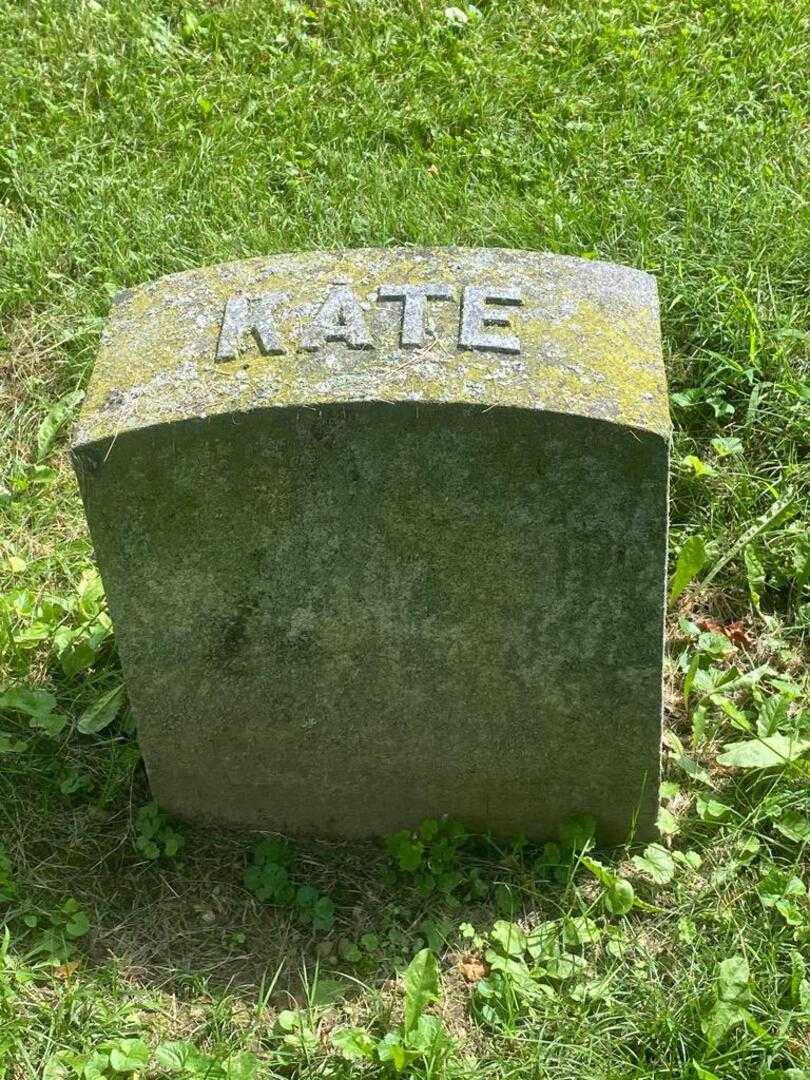 Catharina Falk's grave. Photo 4