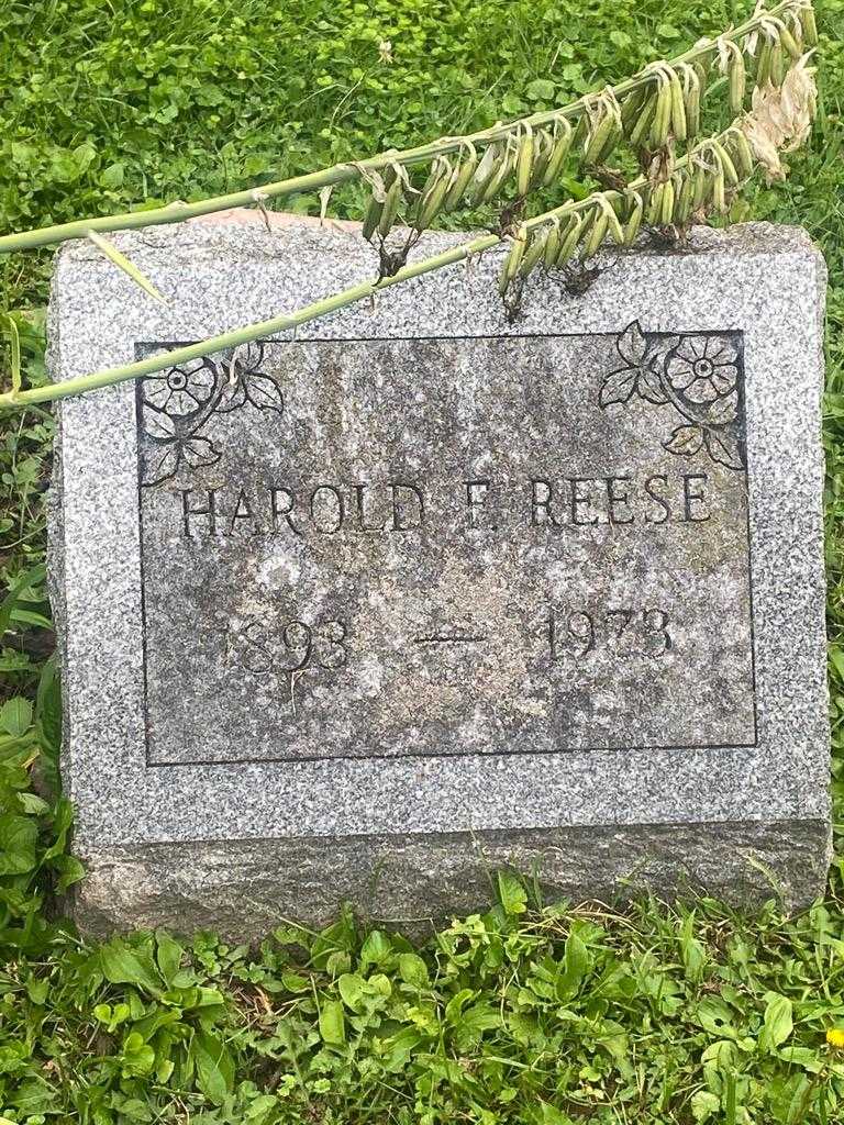 Harold F. Reese's grave. Photo 3