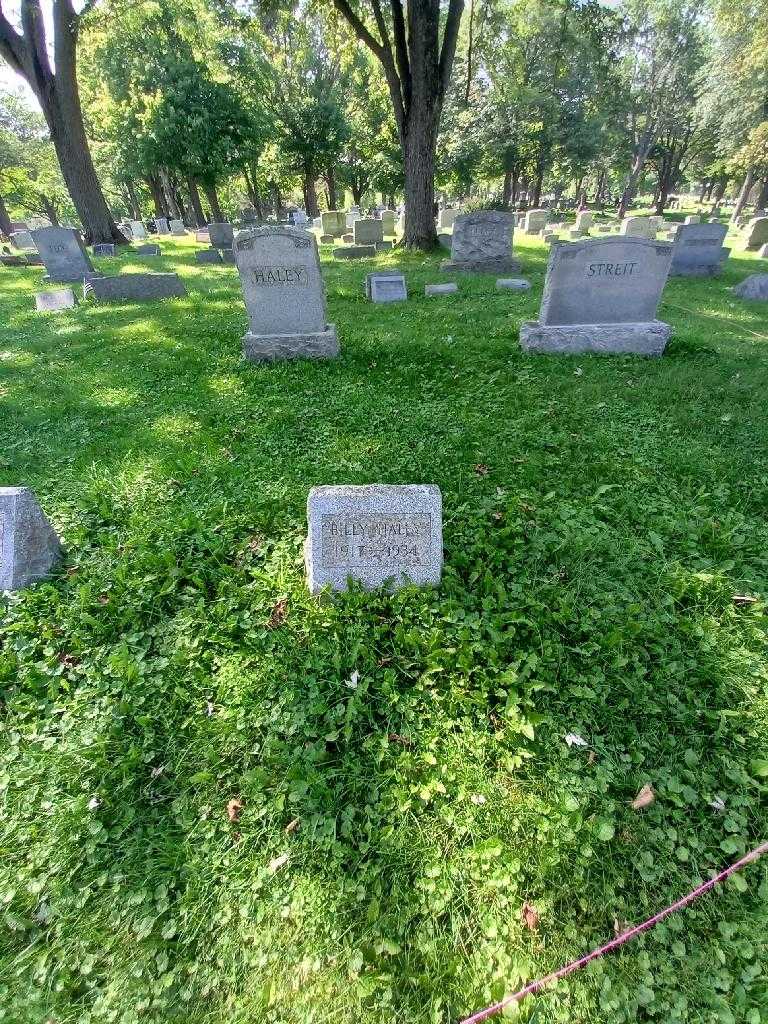 William Haley's grave. Photo 1