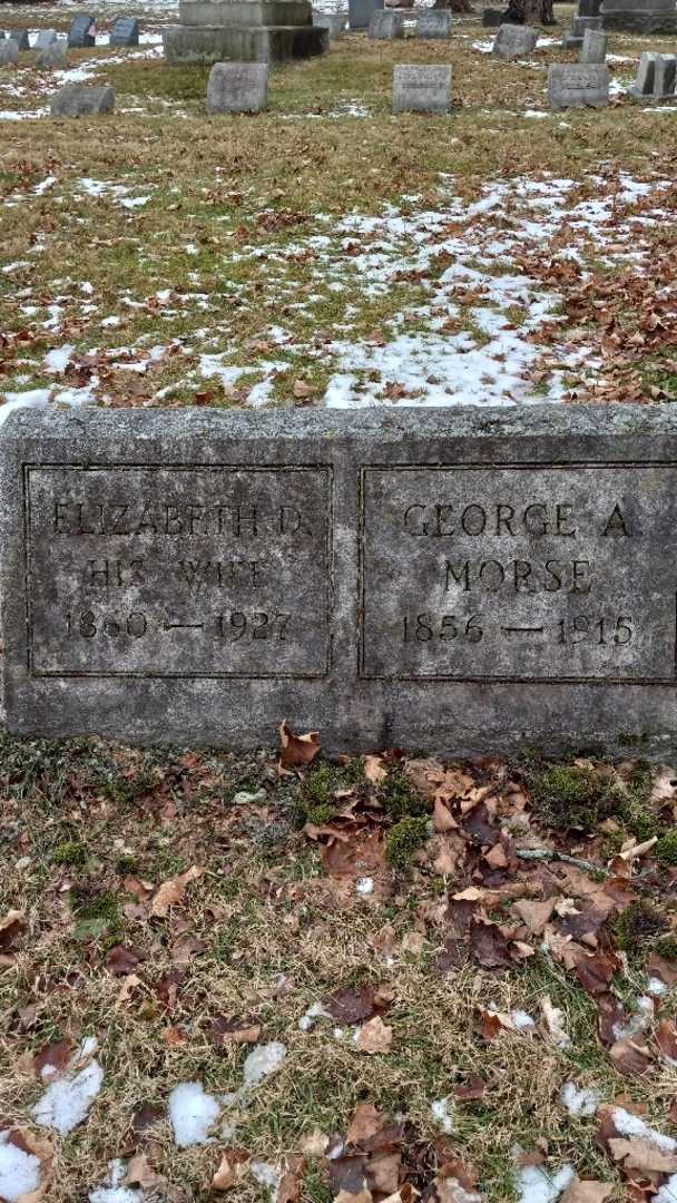 Elizabeth D. Morse's grave. Photo 4