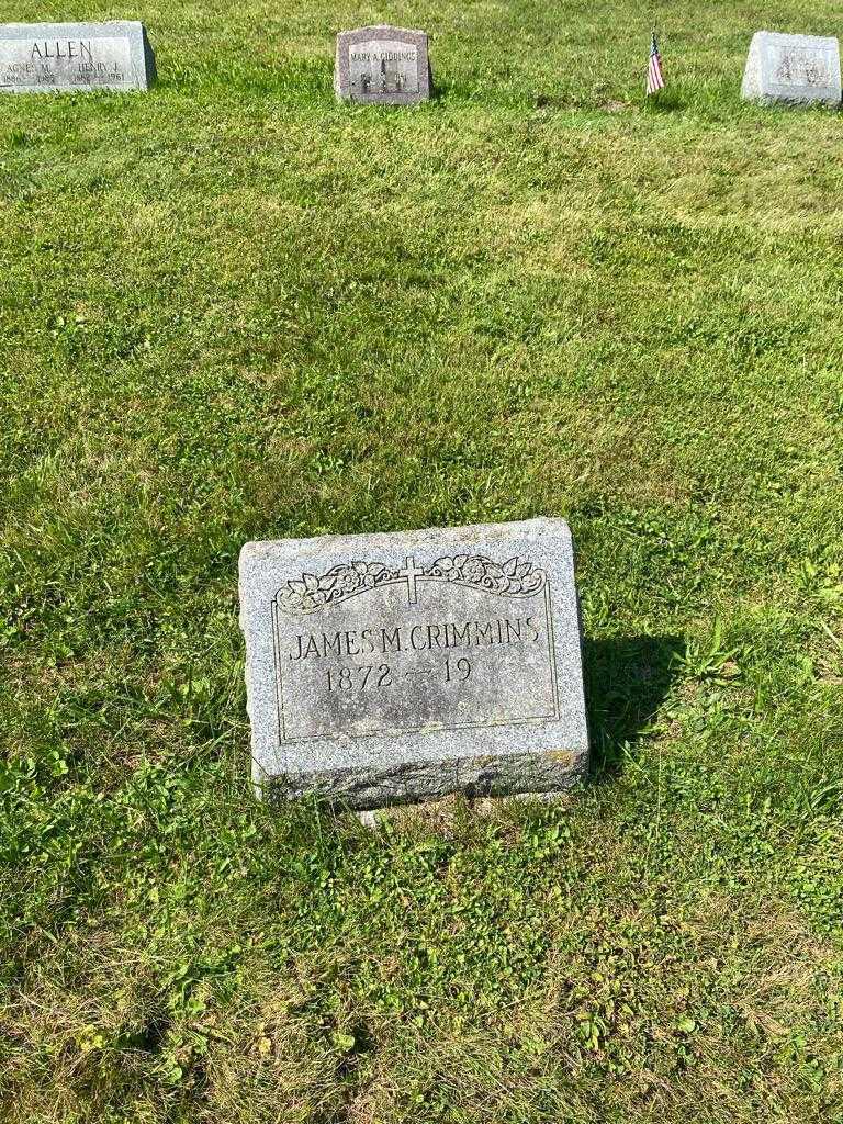 James M. Crimmins's grave. Photo 2