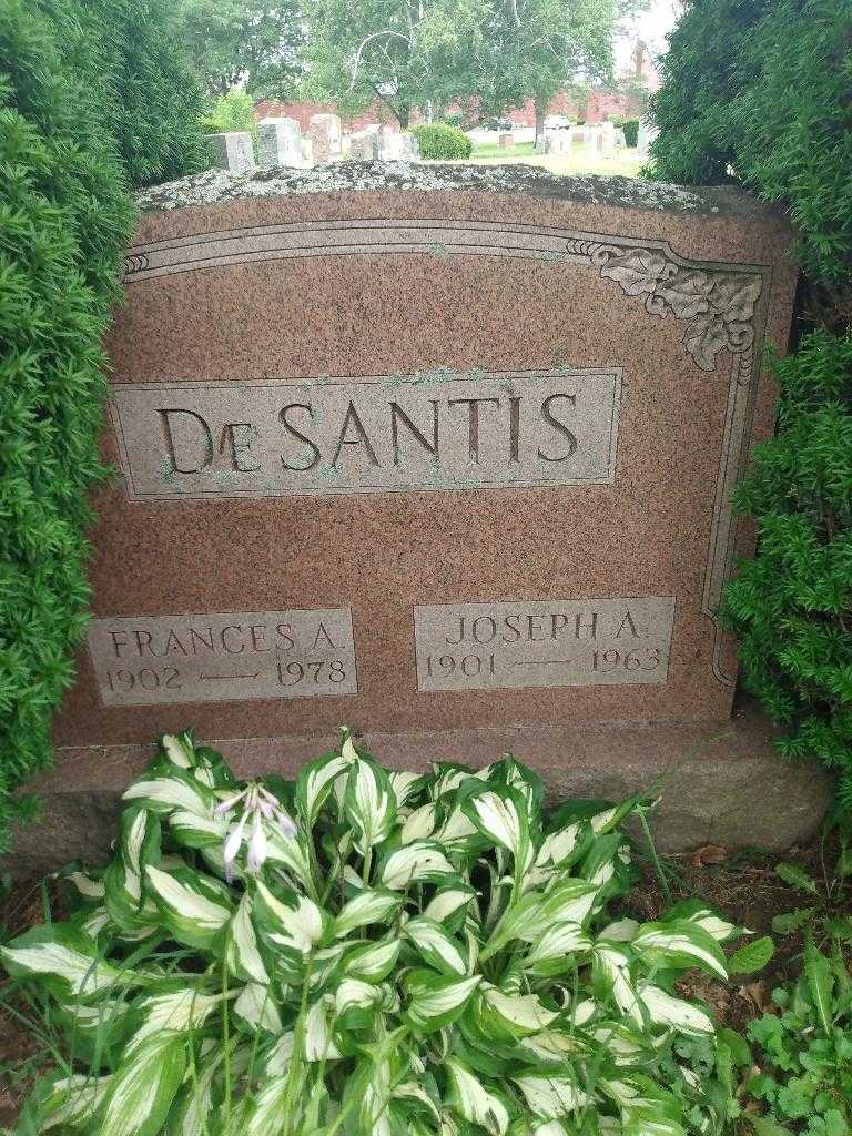 Joseph A. De Santis's grave. Photo 1