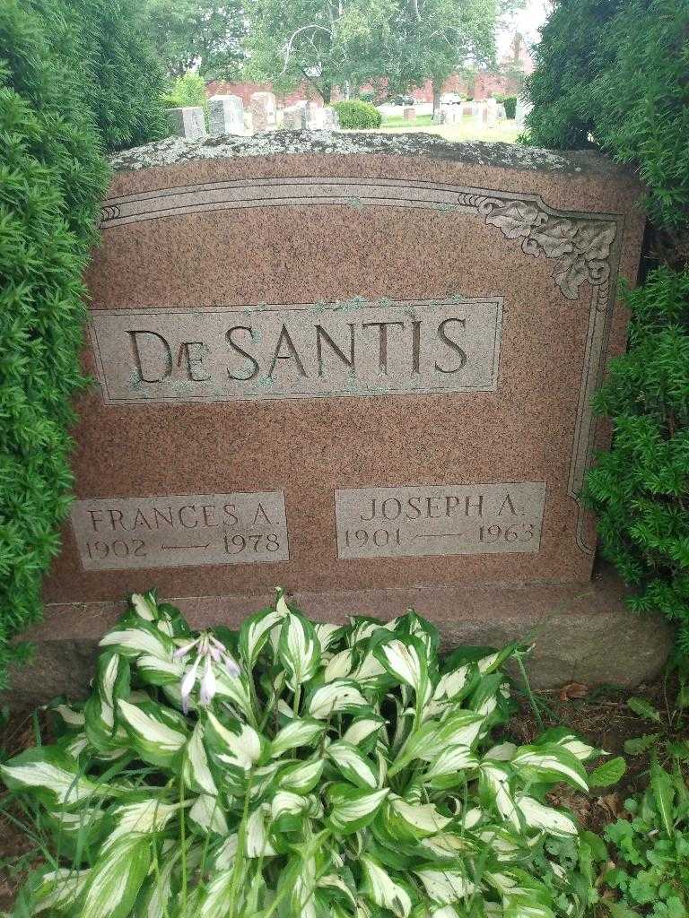 Frances A. De Santis's grave. Photo 1