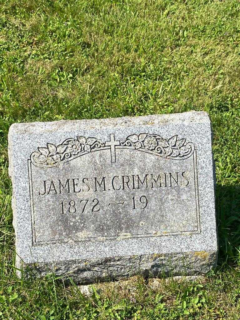 James M. Crimmins's grave. Photo 3