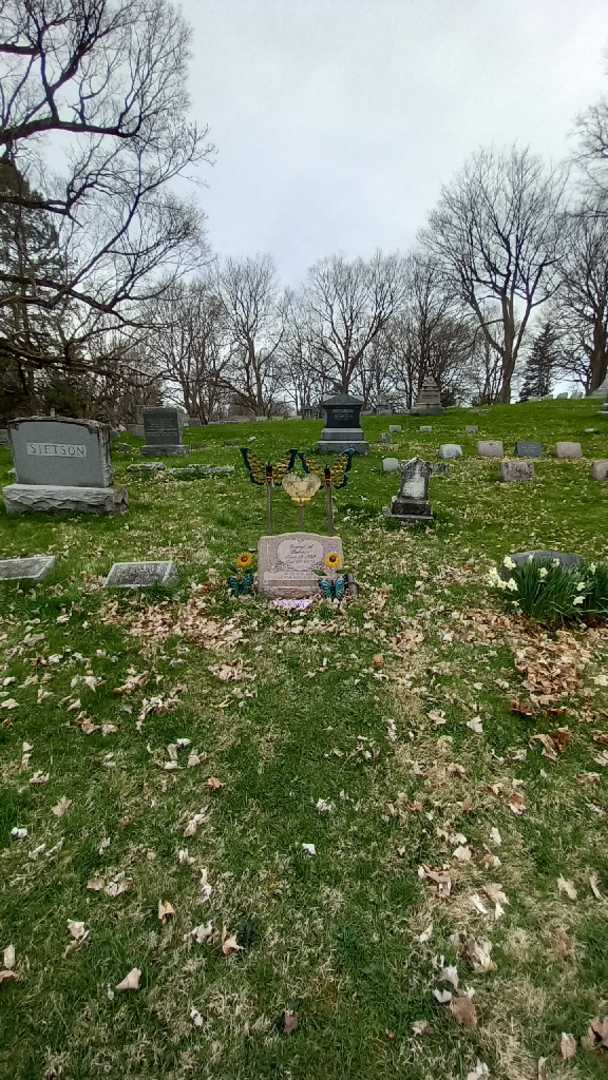 Carol A. Palmer's grave. Photo 1