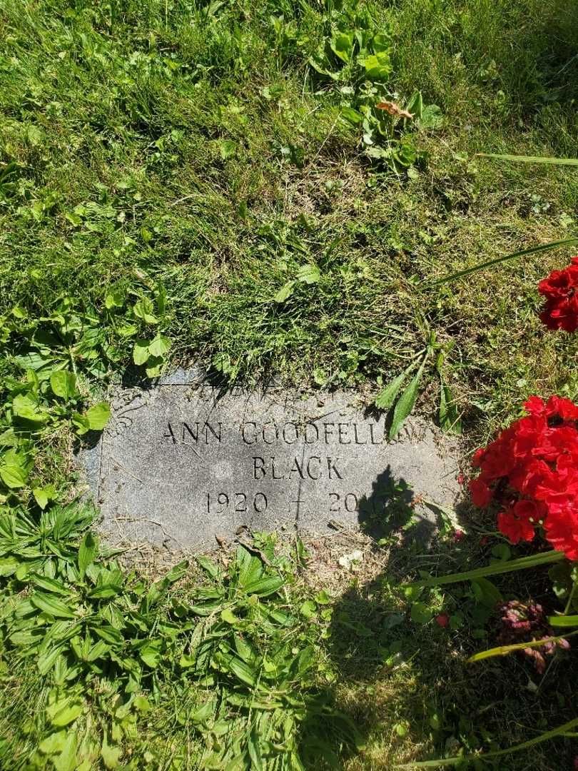 Ann Black Goodfellow's grave. Photo 3